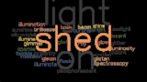 sheds light synonym|What is another word for sheds light on